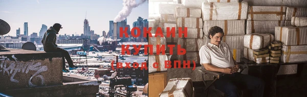 каннабис Новозыбков
