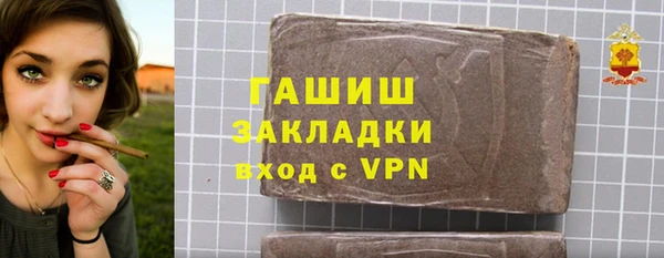 PSILOCYBIN Заполярный