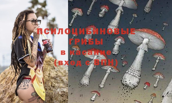 каннабис Новозыбков