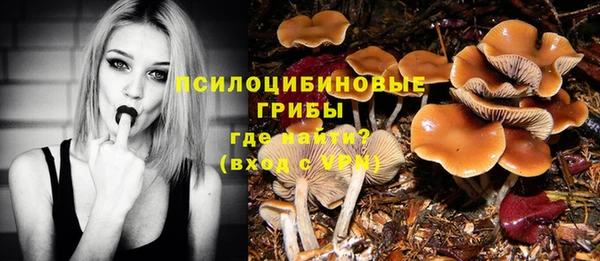 меф Няндома