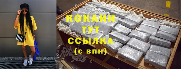 меф Няндома