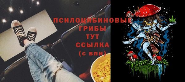 прущие крисы Нягань