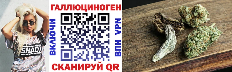 купить наркоту Касимов Галлюциногенные грибы Psilocybe