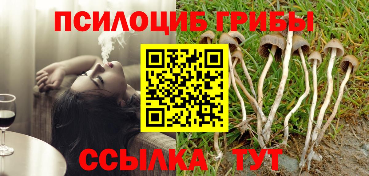 Галлюциногенные грибы ЛСД  Касимов 