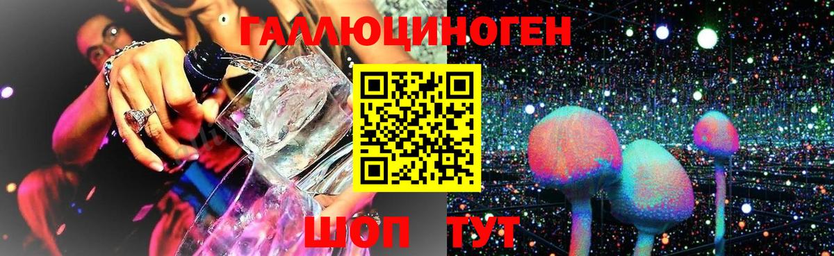 Псилоцибиновые грибы Psilocybine cubensis Касимов