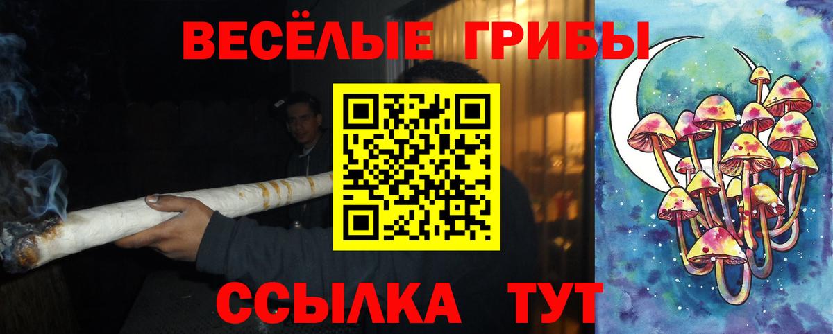 Галлюциногенные грибы Magic Shrooms  Вход с VPN  Касимов 